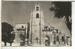 PALENCIA CATEDRAL SIN ESCRIBIR - Palencia