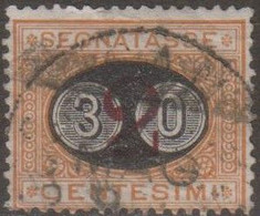 Italia 1890 Regno Segnatasse UnN°19 (o) Vedere Scansione - Strafport