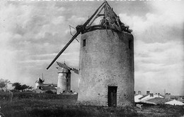 Ile De Noirmoutier * Les Trois Moulins à Vent De La Guérinière * Molen - Ile De Noirmoutier