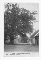 Zoersel - Zicht Aan Den Lindenboom 1913        582 F Hoelen Phot, Cappellen - Zörsel