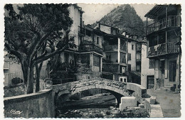 CPSM - ANNOT (Basses Alpes) - Le Vieux Pont De La Beïte - Altri & Non Classificati