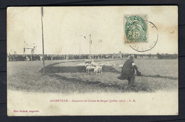 ⭐ CPA - Angerville - 91 - Concours De Chiens De Berger - Juillet 1907 ⭐ - Angerville