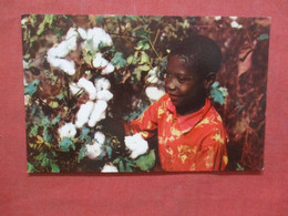 Black Americana Picking Cotton       Ref 4446 - Negro Americana