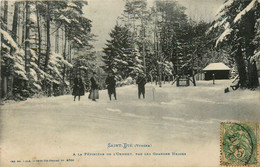 St Dié * à La Pépinière De L'ormont * Par Les Grandes Neiges - Saint Die