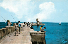 Préfailles * La Pointe St Gildas * Le Port Et La Jetée * Pêche à La Ligne - Préfailles