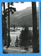 COVR1379, Lenzerheide - Valbella, Heidsee Mit Piz Danis, 1563, A. Bergamin, GF, Circulée 1964 Sous Enveloppe - Lantsch/Lenz