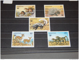 Delcampe - Lesotho - 1977 Endangered Animals MNH__(TH-8517) - Lesotho (1966-...)