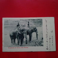 ELEPHANTS AT FERRY NEAR KANDY - Sri Lanka (Ceylon)