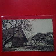 CARTE PHOTO POLN BAUERNHOF - Pologne