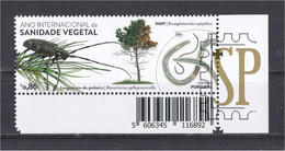 Portugal 2020 International Year Of Plant Health Pine Longicorn Beetle Monochamus Galloprovincia Sanidade Vegetal - Ungebraucht