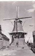 QI - DELFZIJL - Molen "Adam"  (neuf) - Delfzijl