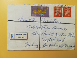 1973 BUSTA RACCOMANDATA IRLANDA EIRE IRLAND BOLLO ARTE ART CANE DOG OBLITERE' DUBLIN - Briefe U. Dokumente