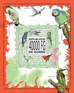 GUINEA 2013 SHEET BIRDS LES OISEAUX DU MONDE VOGELS PASSAROS PAJAROS LOROS PARROTS PERROQUETS Gu13520b - República De Guinea (1958-...)