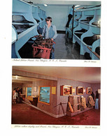2 Different NEW GLASGOW, Prince Edward Island, Canada, Lobster Culture, Old 4X6 Chrome Postcards - Autres & Non Classés