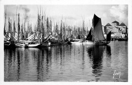 Concarneau * Dans L'arrière Port * Forêt De Mâts - Concarneau