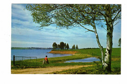 GEORGETOWN, Prince Edward Island, Canada, Parker's Point, 1972 Chrome Postcard - Altri & Non Classificati