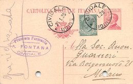 011365 "(UDINE) CIVIDALE - FARMACIA A. FONTANA"  CART COMM.LE SPED 1923 - Sonstige & Ohne Zuordnung