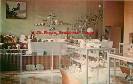 307571-North Dakota, Parshall, Paul Broste Rock Museum, Interior View, Dexter Press No 16095-C - Andere & Zonder Classificatie