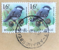 België - Belgique - P3/44 - (°)used - 1999 - Michel 2856 - Zwarte Mees - ST. AMANDSBERG - Used Stamps