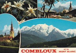 COMBLOUX MULTIVUES (ANA3) - Combloux