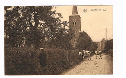 Uyckhoven Kerk Zeer Zeldzaam - Maasmechelen