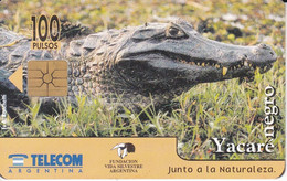 TARJETA DE ARGENTINA DE UN COCODRILO (CROCODILE) - Crocodiles And Alligators