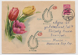 Stationery 1961 Cover Used Mail USSR RUSSIA Flora Flower Tulip Minsk Belarus - 1960-69
