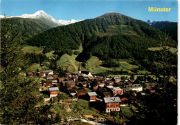 Münster Im Goms (16009) * 18. 9. 1987 - Goms