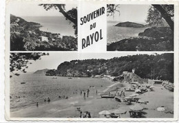 D 83. LE RAYOL CANADEL.  SOUVENIR - Rayol-Canadel-sur-Mer