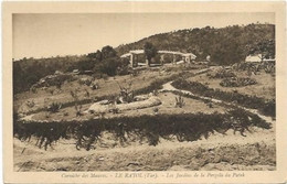 D 83. LE RAYOL CANADEL.  LES JARDINS DE LA PERGOLA DU PATEK - Rayol-Canadel-sur-Mer