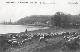 58 - Nièvre - GARCHIZY - SOULANGY - GERMIGNY - Pougues Les Eaux - Bords De Loire - Moutons - Otros Municipios