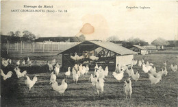 SAINT GEORGES MOTEL - Elevage De Motel, Coquelets Leghorn. (cachet De L'exploitation Au Dos De La Carte En 1939) - Saint-Georges-Motel