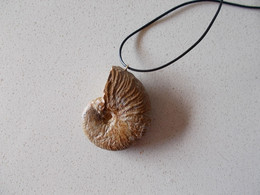 NOEL.CADEAU  ORIGINAL.AMMONITE  FOSSILE MONTEE EN PENDENTIF.LONGUEUR DU CORDON REGLABLE.ORIGINE MAINE ET LOIRE. - Fósiles