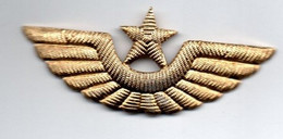 étoile & Ailes Pour Pilote Aviation Commerciale - Métal Doré - L'attache De L'épinglette A Disparu - Crew Badges