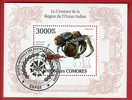 2010 - Comores - Bloc "Le Crustacé De La Région De L'Océan Indien" - Comoros
