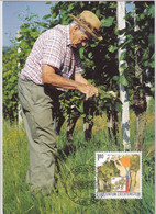 Motiv: Wein, Weinbau, Winzer - Vin, Viticulture, Vigneron - Wine, Viticulture, Winemaker - Vini E Alcolici