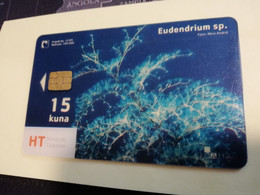 KROATIE FISH  15 KUNA  EUDENDRIUM SP   TRANSPARANT CARD SPECIAL  **3597** - Croatie