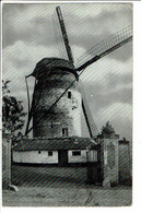 CPM-carte Postale Pays Bas-Gronsveld Molen 1959 VM23152br - Eijsden