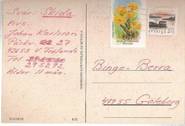 Sweden & Marcofilia, Blahake, Luscinia Svecica,  Gotemburg 1994 (6887) - Lettres & Documents