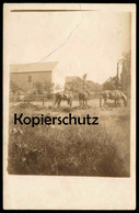 ALTE FOTO POSTKARTE WILSLEBEN HÄUSER UND PFERDE AUF EINER KOPPEL ASCHERSLEBEN AK Ansichtskarte Postcard Cpa Photo - Aschersleben