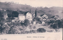 Moudon VD, Château De Carrouge (cpn 3871) - Carrouge 