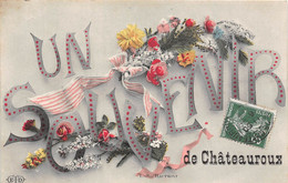 36-CHATEAUROUX-UN SOUVENIR - Chateauroux