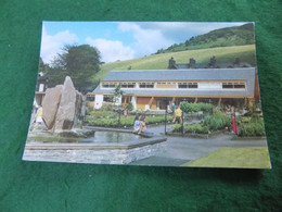 VINTAGE EUROPE UK CUMBRIA: AMBLESIDE Lake District Nurseries Colour Sanderson - Ambleside