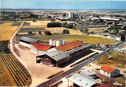 NEUVILLE-de-POITOU - Le Centre De Vinification De La Cave Coopérative - Vue Aérienne - Neuville En Poitou