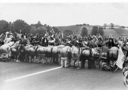 Politique - Ecologie - Anti Nucléaire - Neuf Brisach - Les Manifestants Montrent Leurs Posterieurs Aux Gendarmes - Political Parties & Elections