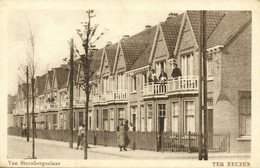 Nederland, TERNEUZEN, Van Steenbergenlaan (1910s) Ansichtkaart - Terneuzen