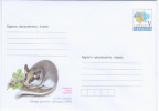 Ukraine 2015 Garden Dormouse (Eliomys Quercinus) Rodent Rodents Mause - Ukraine