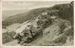 CPA    ALLEMAGNE---BLEICHERODE---BLICK AM CRAJAERKPF - Bleicherode