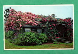 United States MA Massachusets Natucket Islands Rose Covered Cottage   ( Format 9cm X 14cm ) - Nantucket