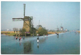 Pays-Bas - Molenlanden - Kinderdijk - Kinderdijk